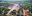 Bird's Eye View: Manilla
